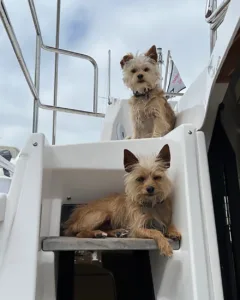 Lily and Rosie